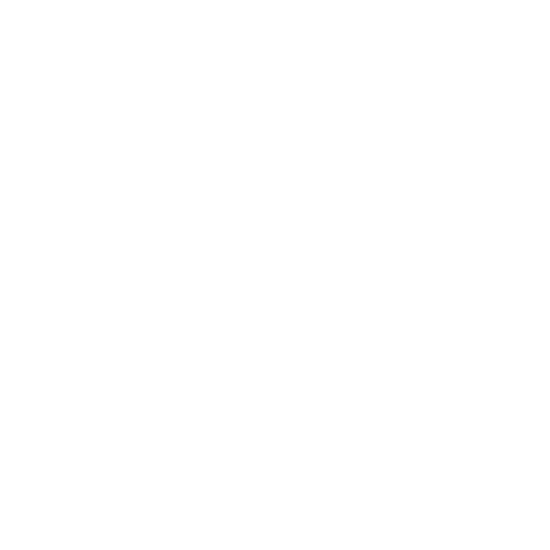 Leschinchillas